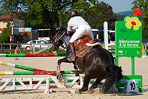 Photographie équestre : Jumping