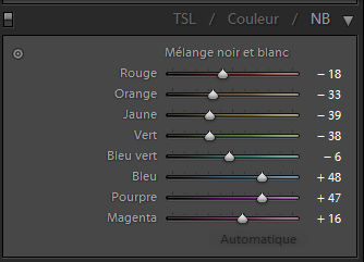 Exemples de réglages dans Lightroom